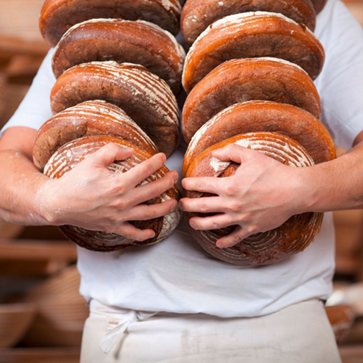 Das Brot für den gasthof Goldener Stern wird nach alter Tradition vom Stadtbäcker Scharold – Friedberg und der Bäckerei Geppert – Ottmaring frisch für Sie gebacken.